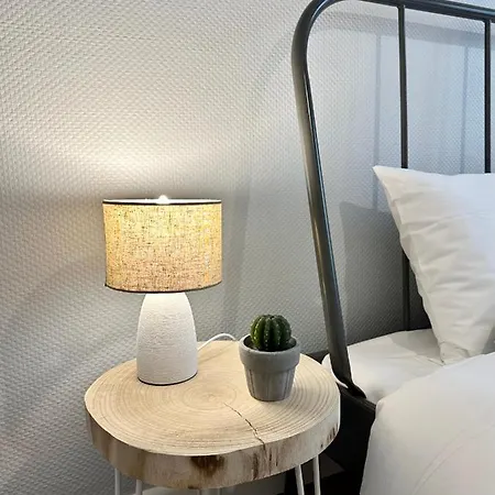 Le Lutz - Moderne Spacieux - Hyper Centre - Parking Apartment Mont-de-Marsan